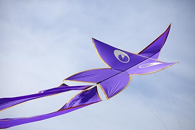 Cerf-volant au regard violet - Festival de Fréjus - © Norbert Pousseur