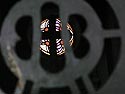 Croix et vitrail à travers la porte d'une chapelle - vitrail de cimetière - © Norbert Pousseur