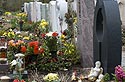 Selon les principes luthériens, tombes présentant une certaine égalité - implantation de cimetière - © Norbert Pousseur