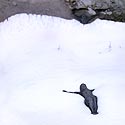 Neige ne laissant paraître que le corps du Christ en croix - Tombes - © Norbert Pousseur