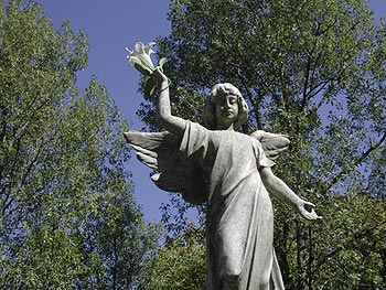 Statue d'ange tenant une fleur de lys - vitrail de cimetière - © Norbert Pousseur