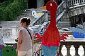 Oiseau en robe rouge - © Norbert Pousseur