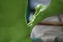 Main sur la hanche tout de vert teintée - © Norbert Pousseur