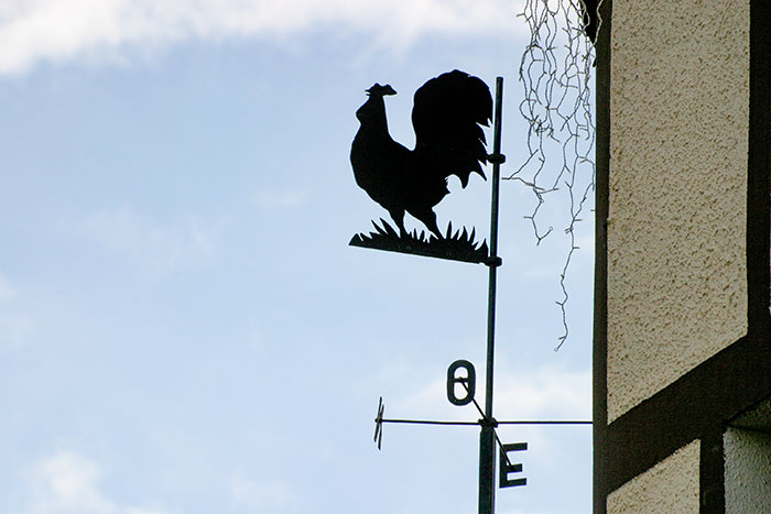 Enseigne de coq de basse-cour - photographie © Norbert Pousseur