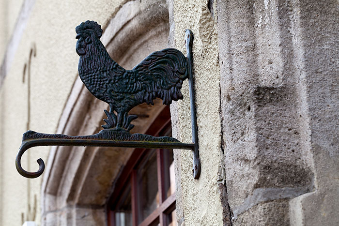 Enseigne noire de beau coq au riche plumage - photographie © Norbert Pousseur