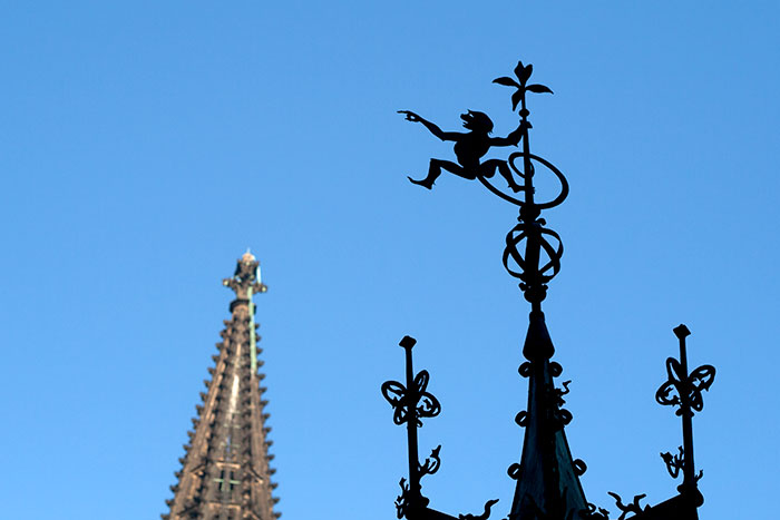 Girouette,  telle une enseigne averc singe - photographie © Norbert Pousseur