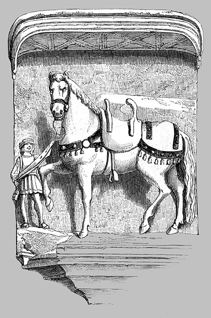 Ancienne enseigne de maisons de Lyon - Le grand cheval blanc - reproduction © Norbert Pousseur