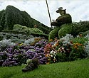 Fleurs en rond-point - Fleurs de jardin - © Norbert Pousseur