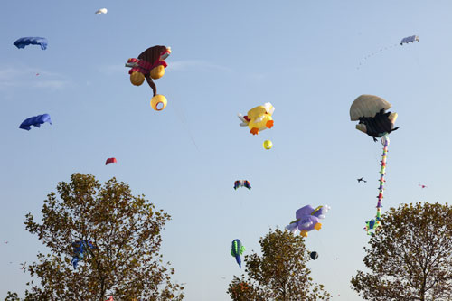 Globos de goma que flotan por encima de los árboles - © Norbert Pousseur