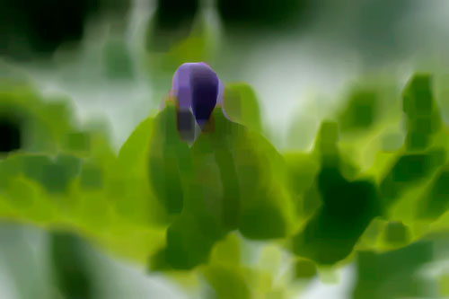 Arquitectura vegetal en masa de color - © Norbert Pousseur