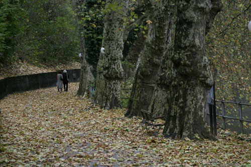 Paseo de otoño - © Norbert Pousseur