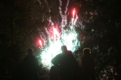 Fuegos artificiales en los árboles - © Norbert Pousseur