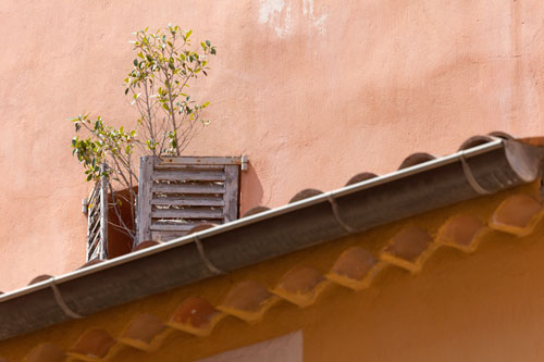 Árbol detrás de su postigo - © Norbert Pousseur