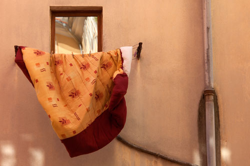 Ventana con una coleta - © Norbert Pousseur