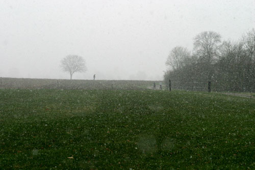 Paseantes y precipitaciones de nieve - © Norbert Pousseur