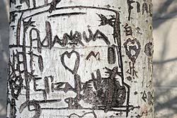 Adanqua et Eliza,  Graffiti amoureux