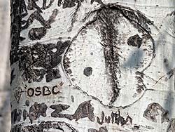 OSBC, Graffiti amoureux - © Norbert Pousseur