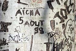 Aïcha, 5 août 98, en tant que graffiti amoureux