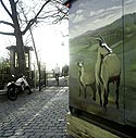 Chêvres peintes sur parois de transformateur, Graph’mur photographié par Norbert Pousseur ©