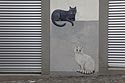 Chat gris, chat blanc - Graph’mur photographié par Norbert Pousseur ©