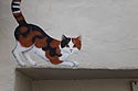 Chat roux sur un mur - Graph’mur photographié par Norbert Pousseur ©