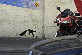 Chats en coin de rue, oeuvre de Jérôme Mesnager et Nemo, Graph’mur photographié par Norbert Pousseur ©