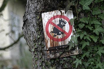 Affichette d'interdiction de déchets pour les chiens, Graph’mur photographié par Norbert Pousseur ©