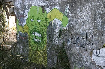 Tête verte perdue dans les broussailles, Graph’mur photographié par Norbert Pousseur ©
