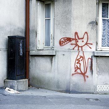Chat - oiseau "encor", Graph’mur photographié par Norbert Pousseur ©