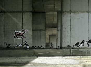 Chats calins graphés sous l'ancienne dalle - © Norbert Pousseur