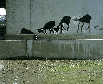 Chats calins à la queue leu leu, graph � Bagnolet - © Norbert Pousseur