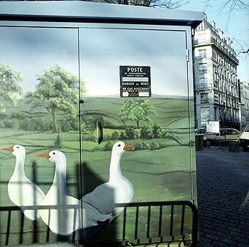 Oies et paysage champêtre peint sur porte de transformateur, Graph’mur photographié par Norbert Pousseur ©