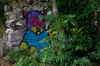 Esquisse de lutin sur un vieux mur  disparaissant sous la verdure - Bagnolet 2009, photographié par Norbert Pousseur ©