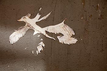 Traces d'oiseau - Graph’mur photographié par Norbert Pousseur ©