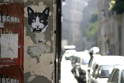 Tête de chat en coin de rue - Graph’mur photographié par Norbert Pousseur ©