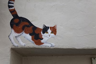 Chat roux sur un mur - Graph’mur photographié par Norbert Pousseur ©