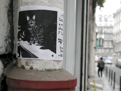 Chat disparu - Graph’mur photographié par Norbert Pousseur ©