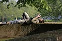 Lecteur sur la muraille d'enceinte - Ieper - Ypres - © Norbert Pousseur
