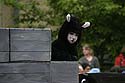 Petit chat sur char - Kattenstoet 2006 - fête des chats - Ieper - Ypres - © Norbert Pousseur