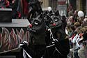 Les chats du diable escortant son char - Kattenstoet 2006 - fête des chats - Ieper - Ypres - © Norbert Pousseur