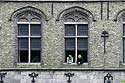 fenêtres et personnes accoudées - Kattenstoet 2006 - fête des chats - Ieper - Ypres - © Norbert Pousseur