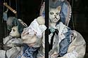en vitrine, chat  en porcelaine habillée en gentillhomme  - Kattenstoet 2006 - fête des chats - Ieper - Ypres - © Norbert Pousseur