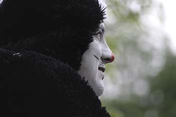 homme grimmé en chat du groupe publicitaire Malengier - Kattenstoet 2006 - fête des chats - Ieper - Ypres - © Norbert Pousseur