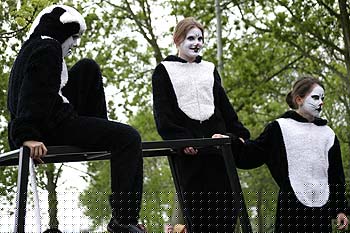 Jeunes filles grimmées juchée sur un quad  Yamaha du groupe publicitaire Malengier - Kattenstoet 2006 - fête des chats - Ieper - Ypres - © Norbert Pousseur