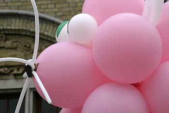 chat en ballons roses - Kattenstoet 2006 - fête des chats - Ieper - Ypres - © Norbert Pousseur