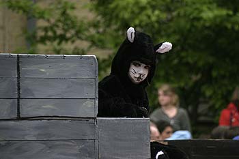 Petit chat sur char -  Kattenstoet 2006 - fête des chats - Ieper - Ypres - © Norbert Pousseur