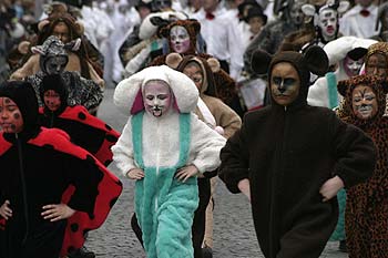 Petits chats multicolores entourant les mannequins géants des chats - Kattenstoet 2006 - fête des chats - Ieper - Ypres - © Norbert Pousseur