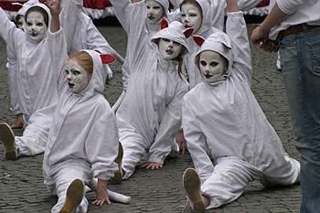 Petits chats blancs - Kattenstoet 2006 - fête des chats - Ieper - Ypres - © Norbert Pousseur