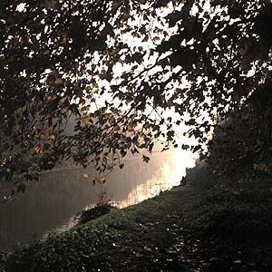 Promenade à Vaires - © Norbert Pousseur