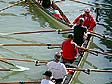 Concours de canoés sur le canal de Vaires - © Norbert Pousseur